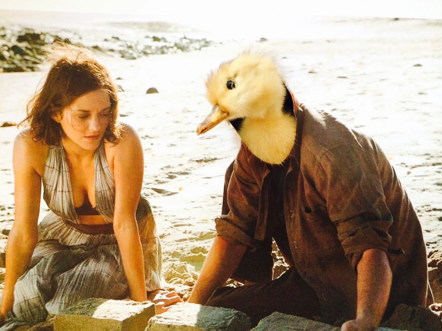 Dead Duckling Comes Back To Life As Leonardo Duckaprio