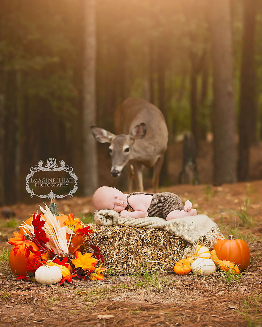 Deer Photobombs Baby's Photoshoot And Turns It Into A Fairytale