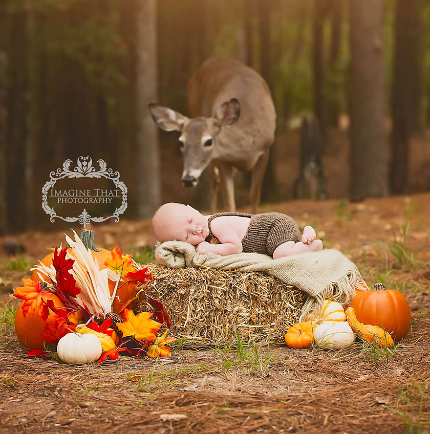 Deer Photobombs Baby's Photoshoot And Turns It Into A Fairytale