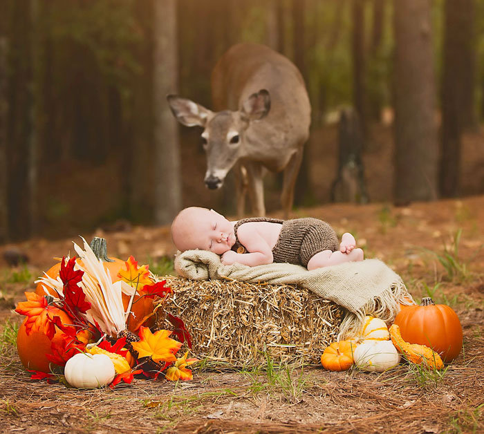 Deer Photobombs Baby’s Photoshoot And Turns It Into A Fairytale