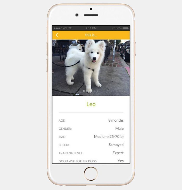 New App Lets You Borrow A Dog To Walk And Play With