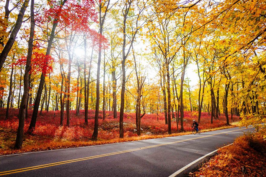 Exploring New Roads With Beautiful Fall Foliage By Bike