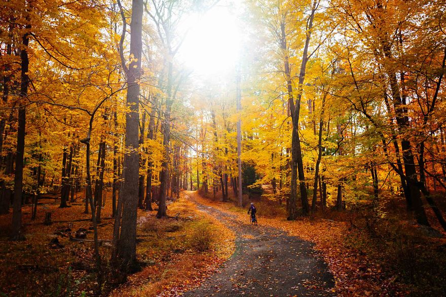Exploring New Roads With Beautiful Fall Foliage By Bike