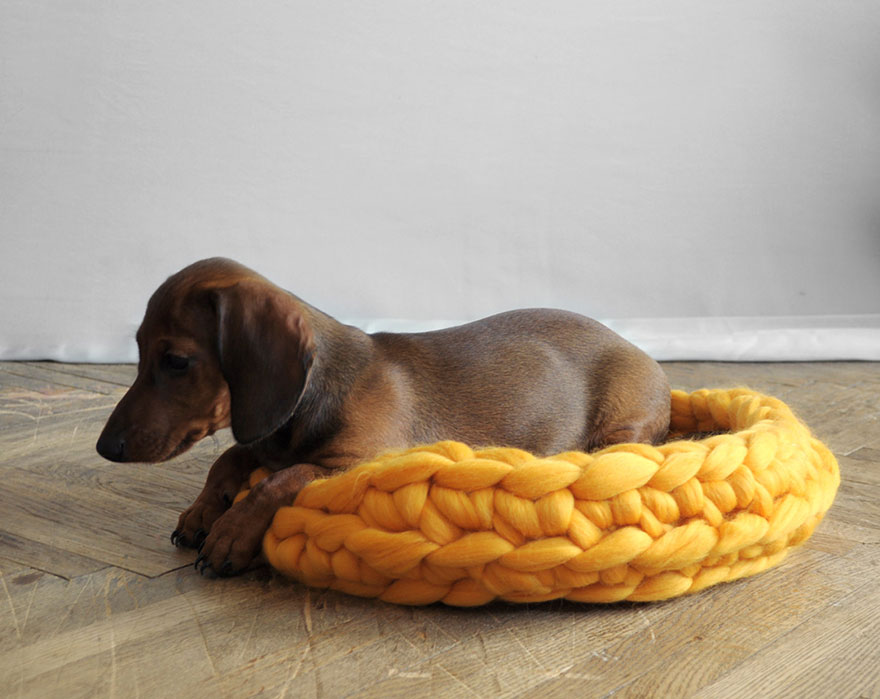 Extremely Chunky Pet Beds Knit By Anna Mo