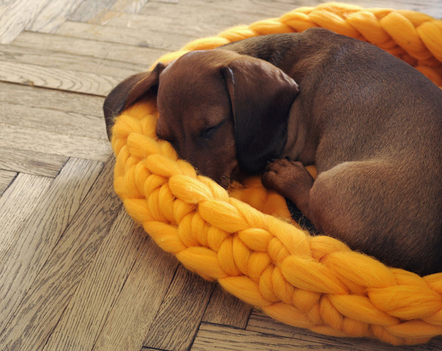 giant-chunky-knit-pet-beds-anna-mo-8