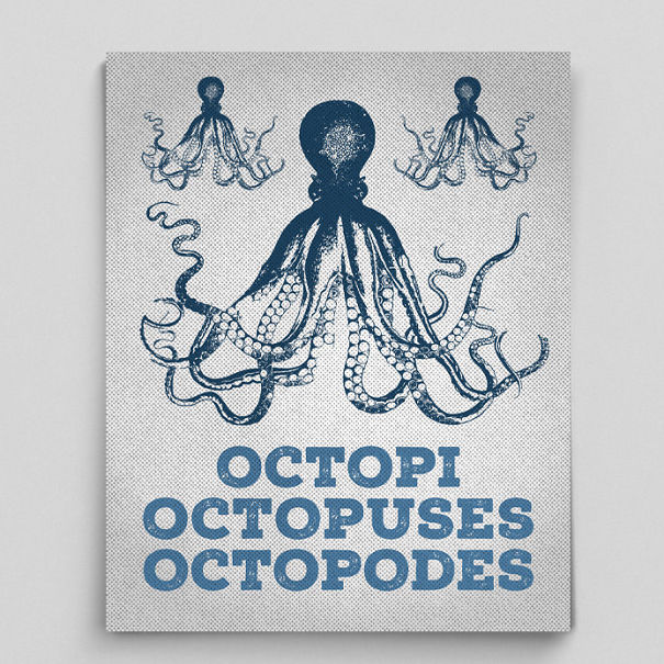 Octopi, Octopuses, Octopodes Poster