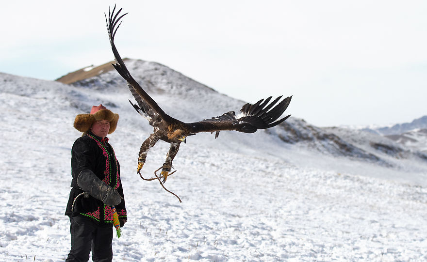 Hunting With Golden Eagles In Mongolia
