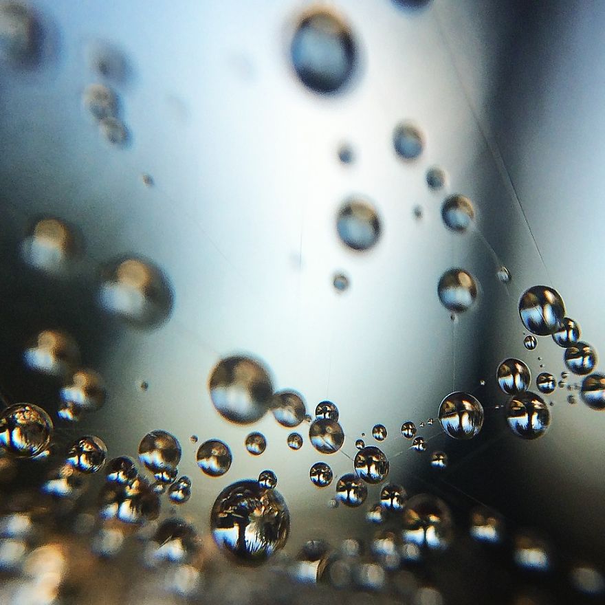 I Photograph Dewdrops That Look Like Miniature Multiverses