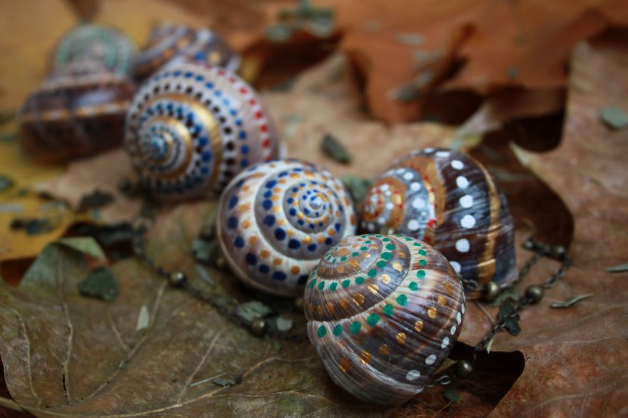 Invasion Of The Rainbow Snails