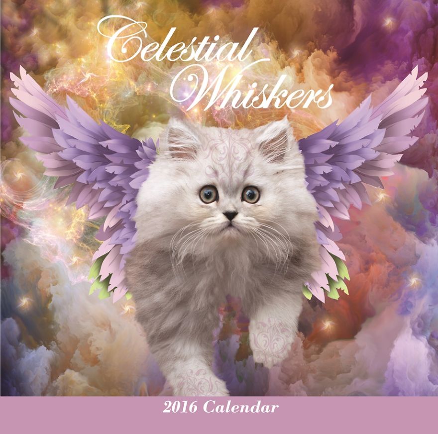 I've Spent 2000+ Hours Making This Fantasy Cat Calendar For 2016