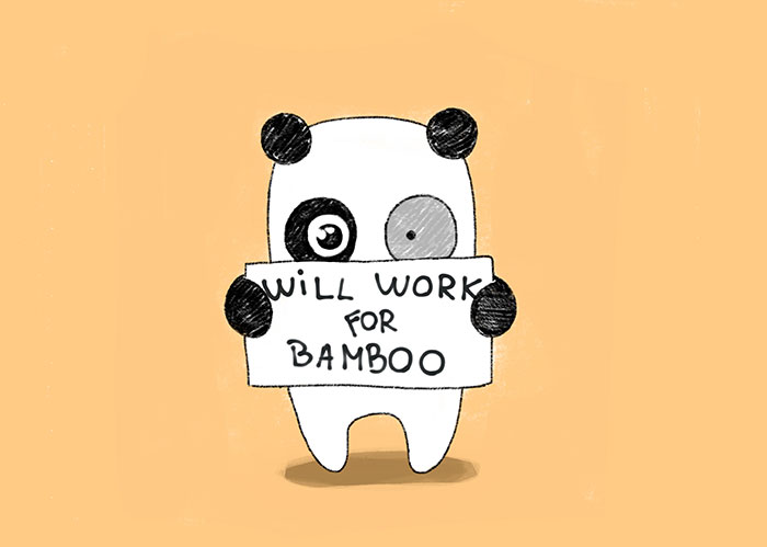 Bored Panda Is Looking For Top Copywriters To Fight Boredom Together!
