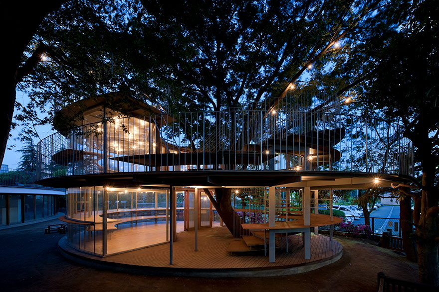 Japanese Kindergarten Built Around A Tree With A Legendary Story