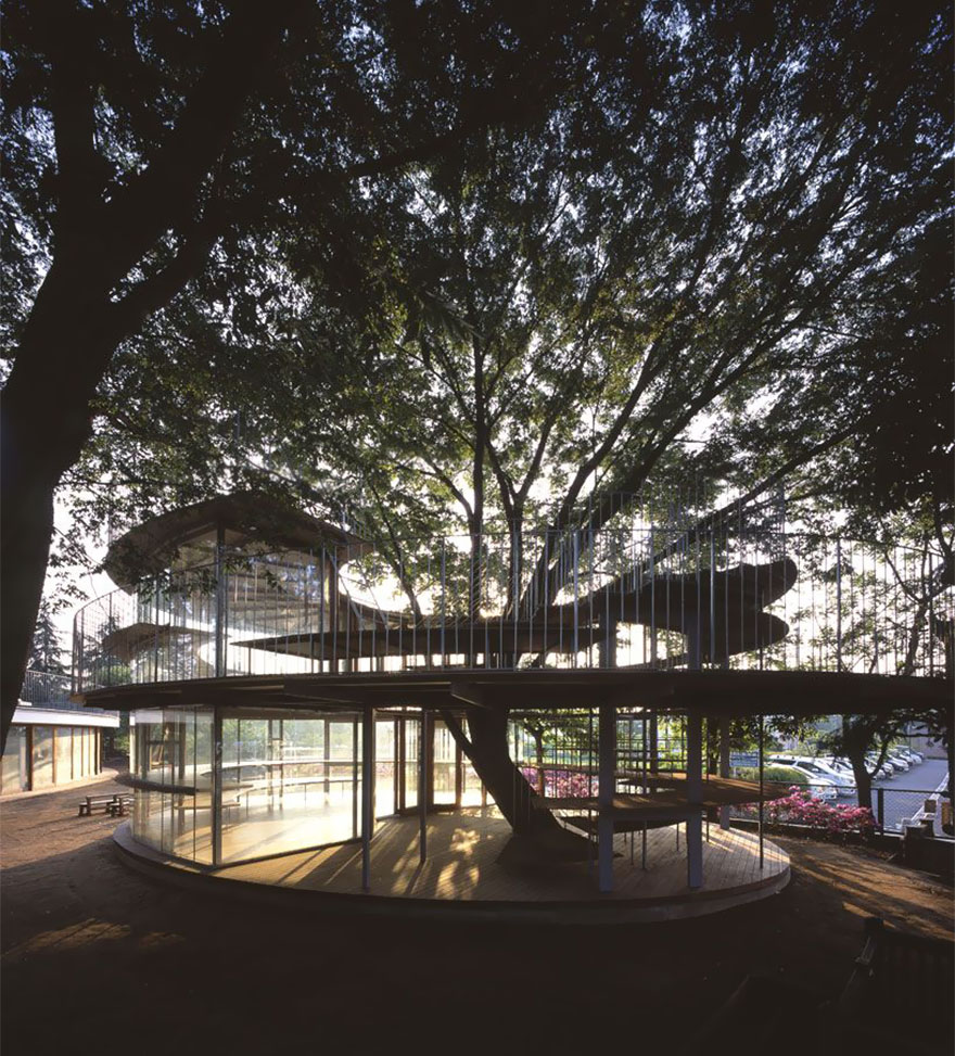 Japanese Kindergarten Built Around A Tree With A Legendary Story