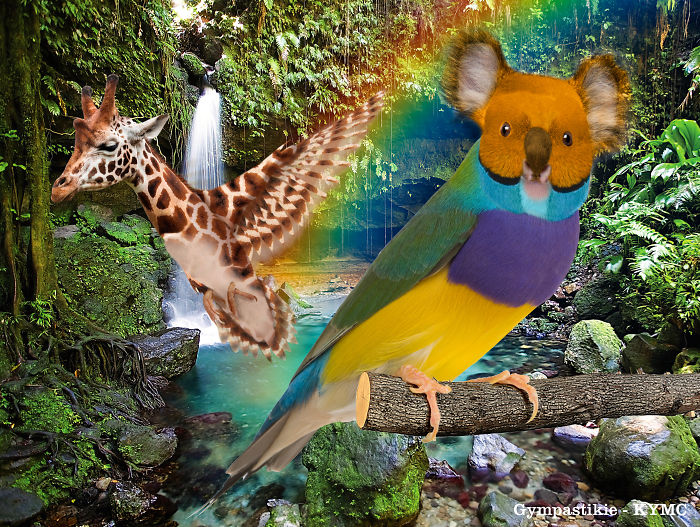 Strange animal hybrids: a bird with a koala head and a giraffe with wings in a jungle setting.