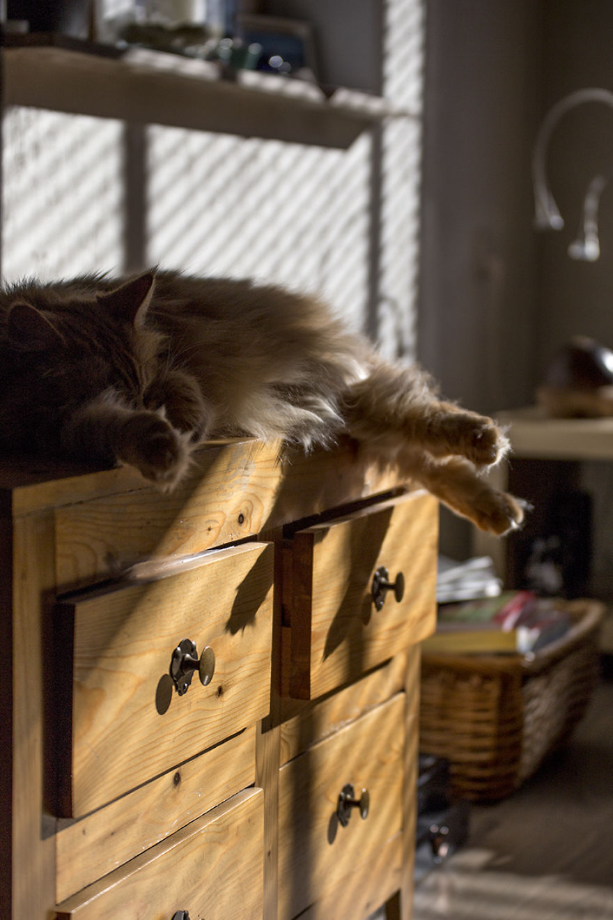 Lazy Sunday Morning