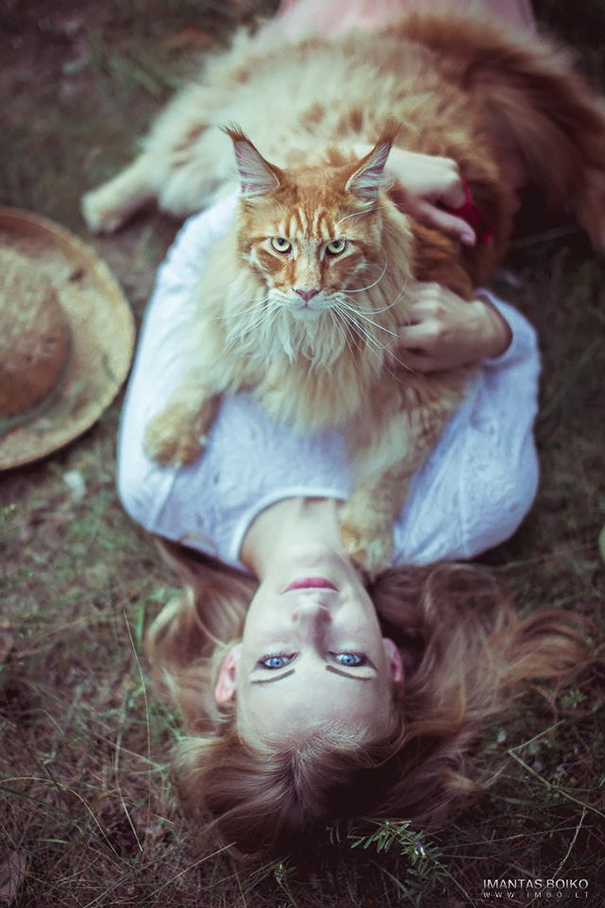 Girl With A Beautiful Maine Coon Cat