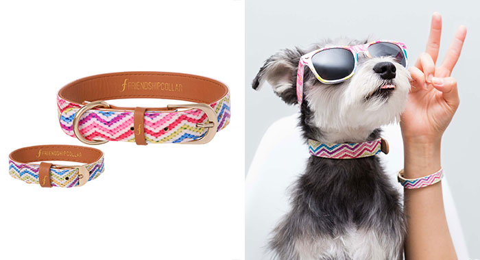 matching-pet-collar-bracelet-friendship-collar-56