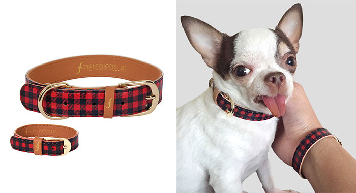 matching dog collar and bracelet