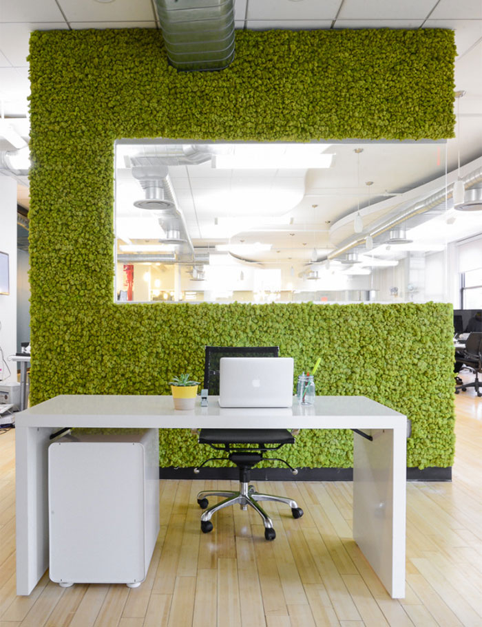 Moss Office Wall