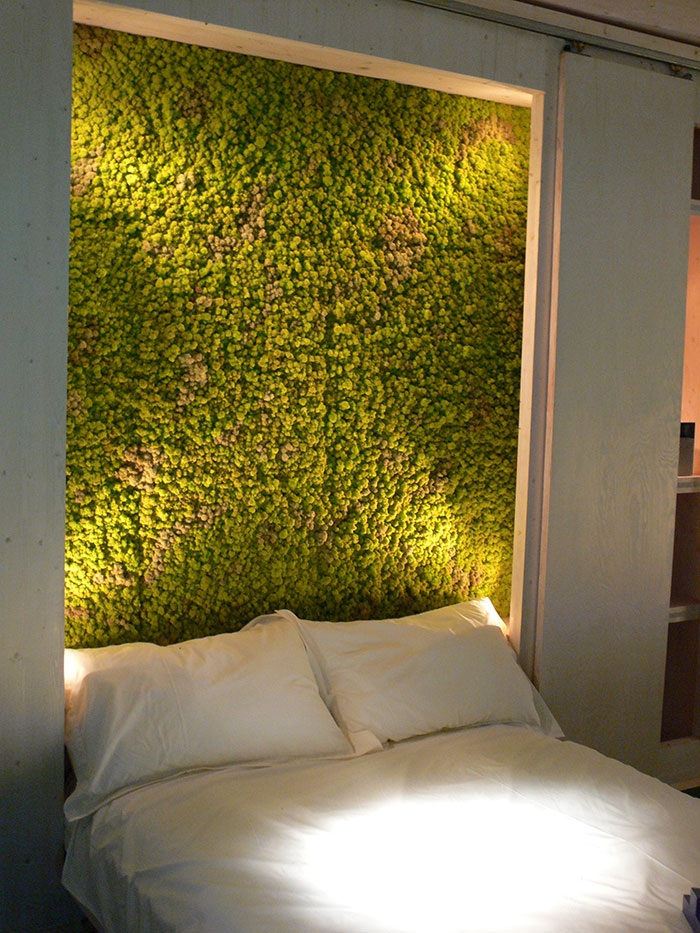 Moss Wall In The Bedroom