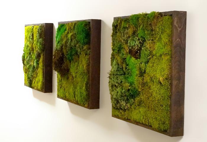 Moss Paintings