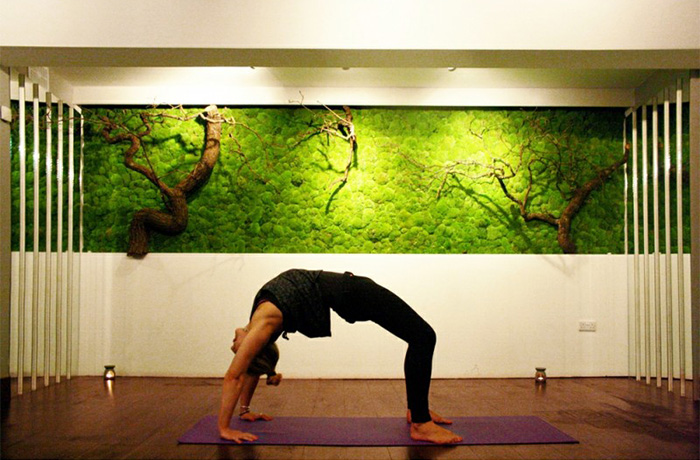 Moss Wall In Yoga Studio