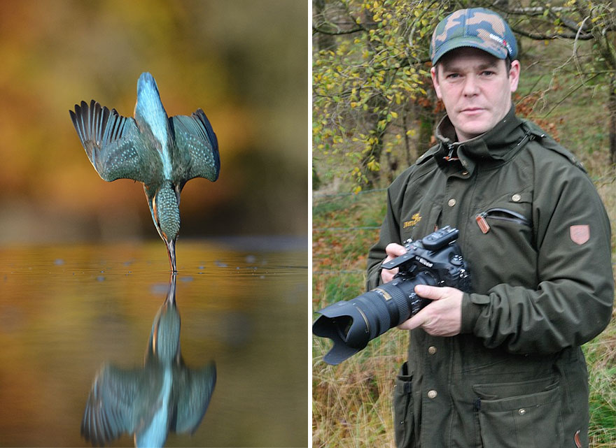 After 6 Years And 720,000 Attempts, Photographer Finally Takes Perfect Shot Of Kingfisher