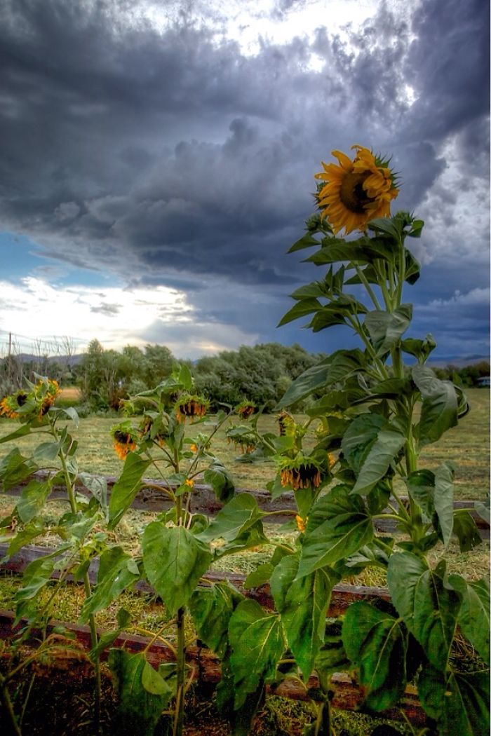 The Okanagan....home Is Where The Heart Is.