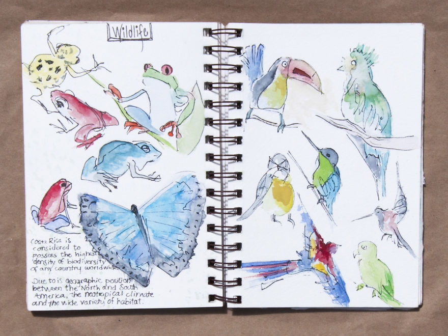 Travel Sketchbook Of My Trip To Central America