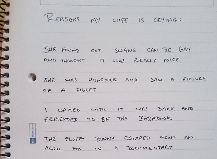 This Man’s Wife Cries About Absolutely Anything So He Started Writing The Reasons Down