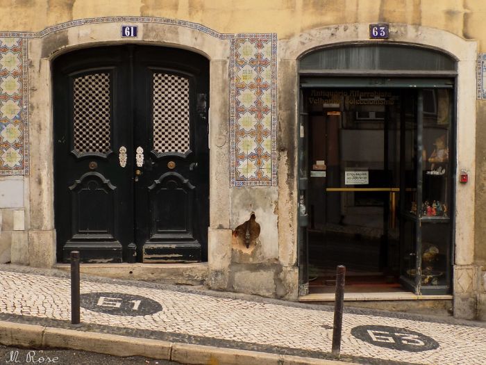 20 Photos About Colourful Doors & Windows Of Lisbon