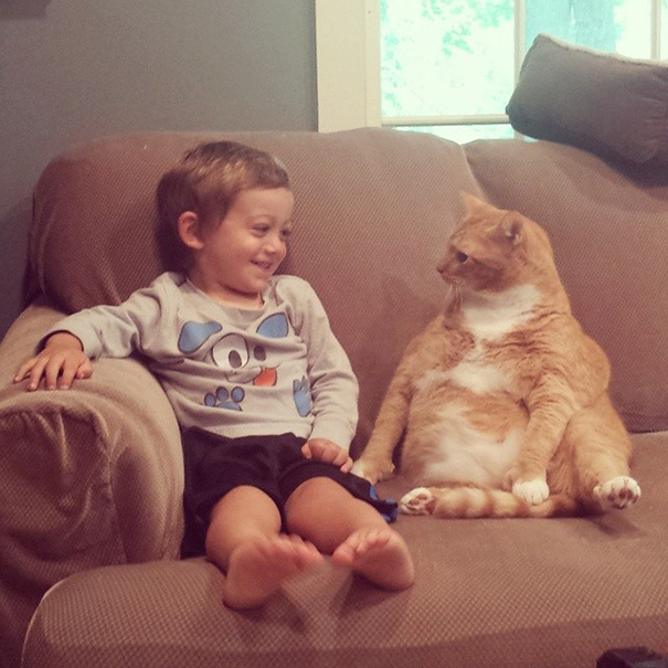 Unwanted Cat Becomes This Little Boy’s Guardian, Following Him Everywhere