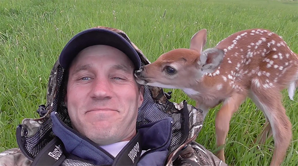 Baby Deer Refuses To Leave The Human Who Saved Her Life