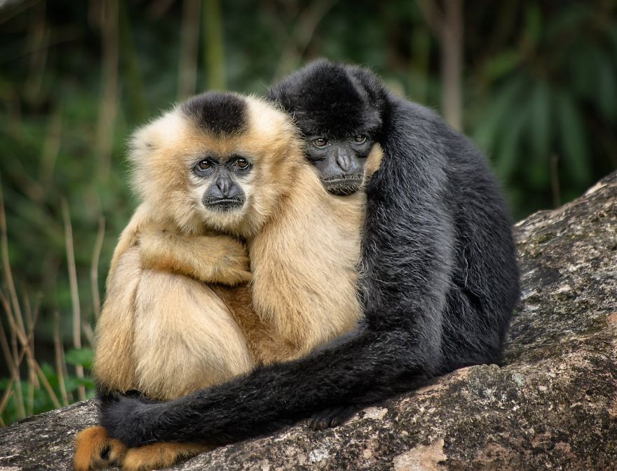 5 Photos To Show How Parents Care...