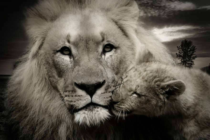 5 Photos To Show How Parents Care...