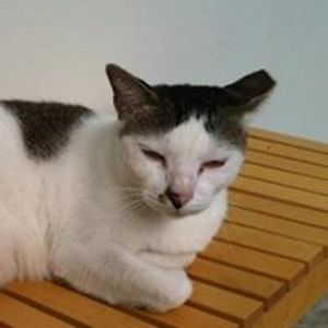 reddish_devil avatar