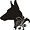 delfyn avatar