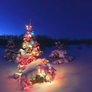 kristina_stanciu avatar