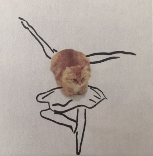 Cat Ballet Pose