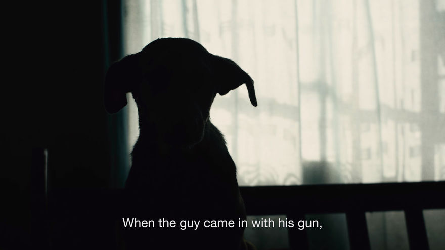 Dog Takes A Bullet To Save A Little Kid