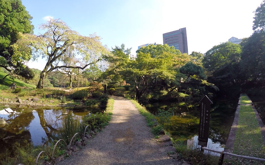 I Walked 100 Kilometers Around Tokyo In 3 Days. It Was Epic!