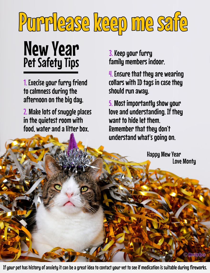 Keep Your Furry Friends Safe This New Year