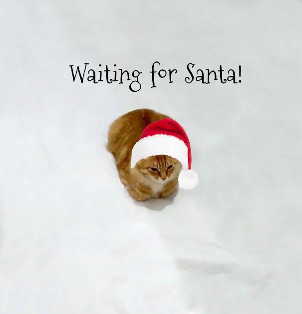 Waiting For Santa!