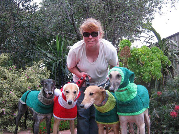 abandoned-greyhounds-christmas-sweaters-knitted-with-love-jan-brown-3