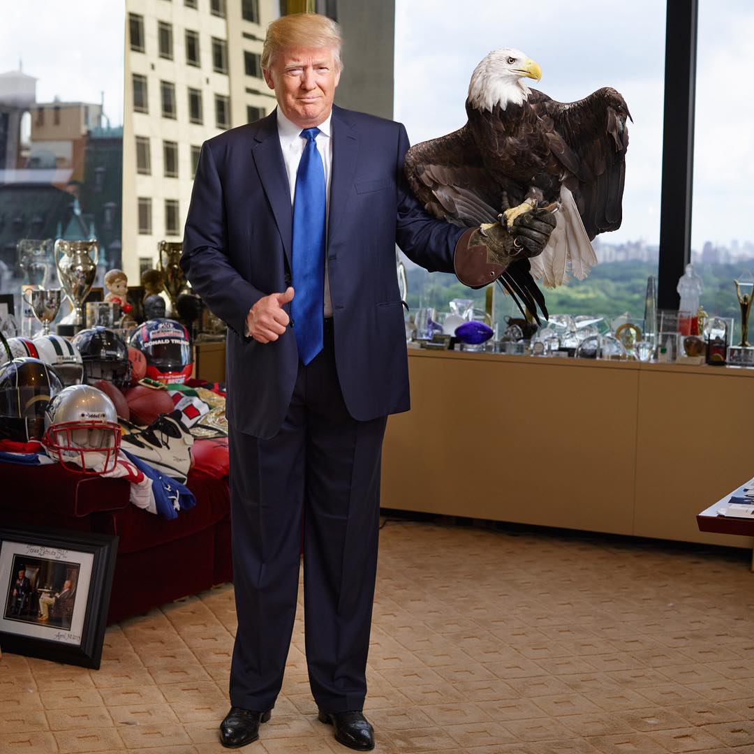 Donald Trump Gets Attacked By Bald Eagle Named Uncle Sam