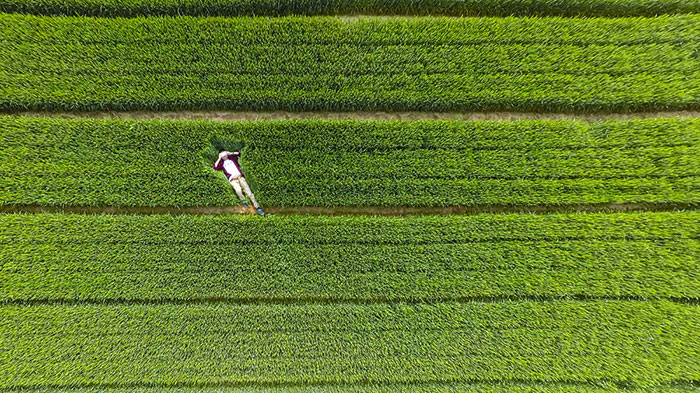 25 Of The Best Drone Photos Shot In 2015