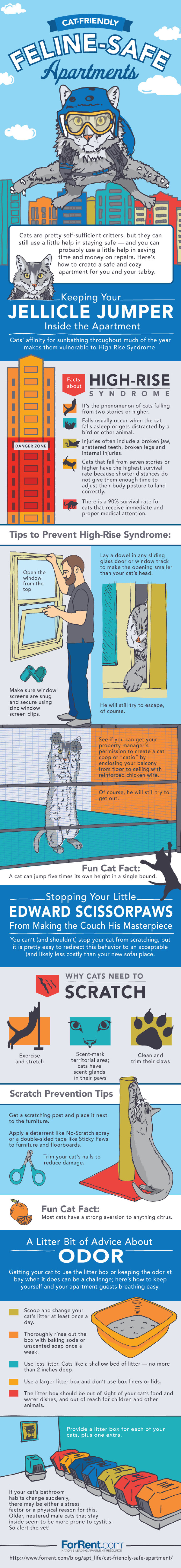 Cat Friendly Apartment Tips