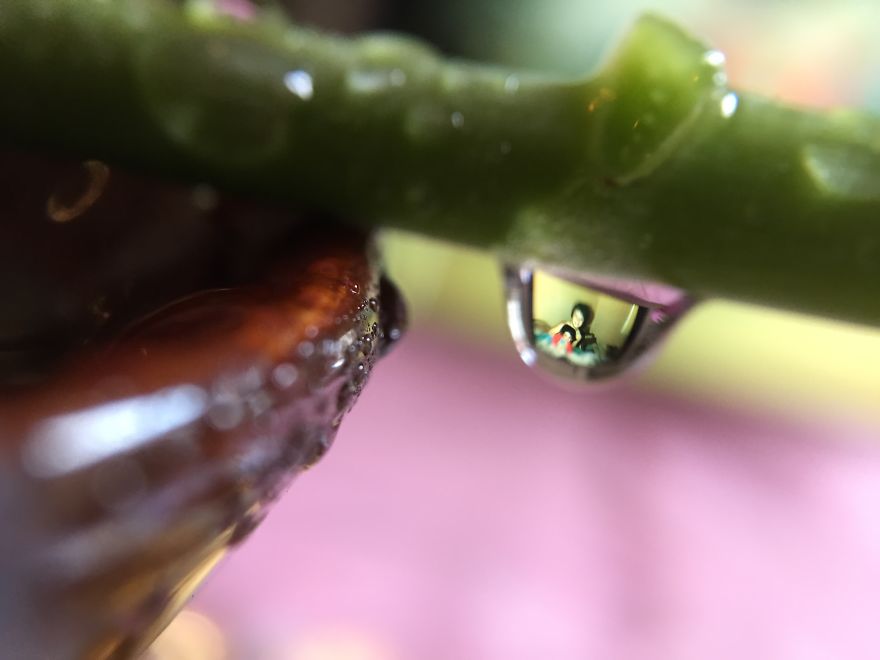 Drops Of Memories: I Capture Memories In Water Droplets