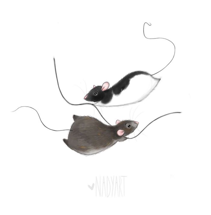 Dutch Artist Illustrates Rats To Show Their Cute Side
