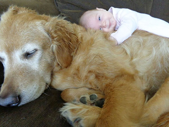Big Dog With A Baby